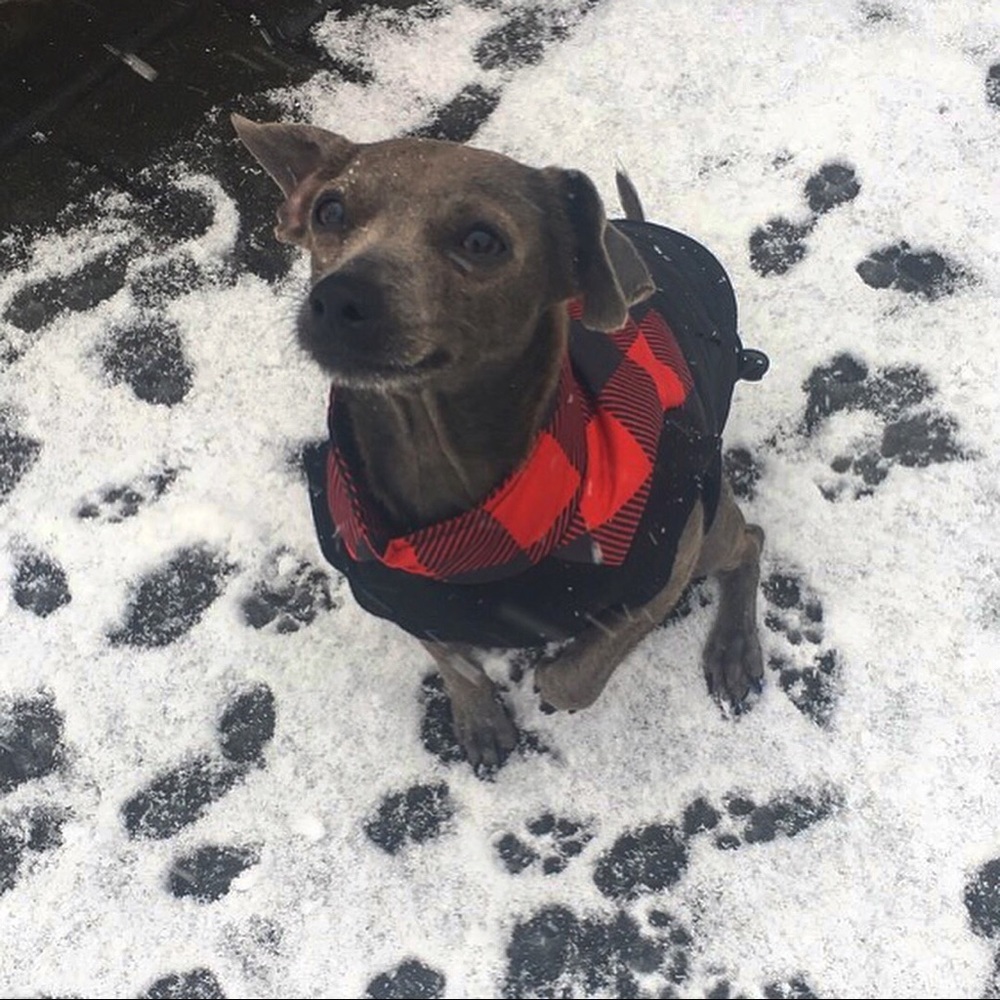 Meet your Posher, Melissa